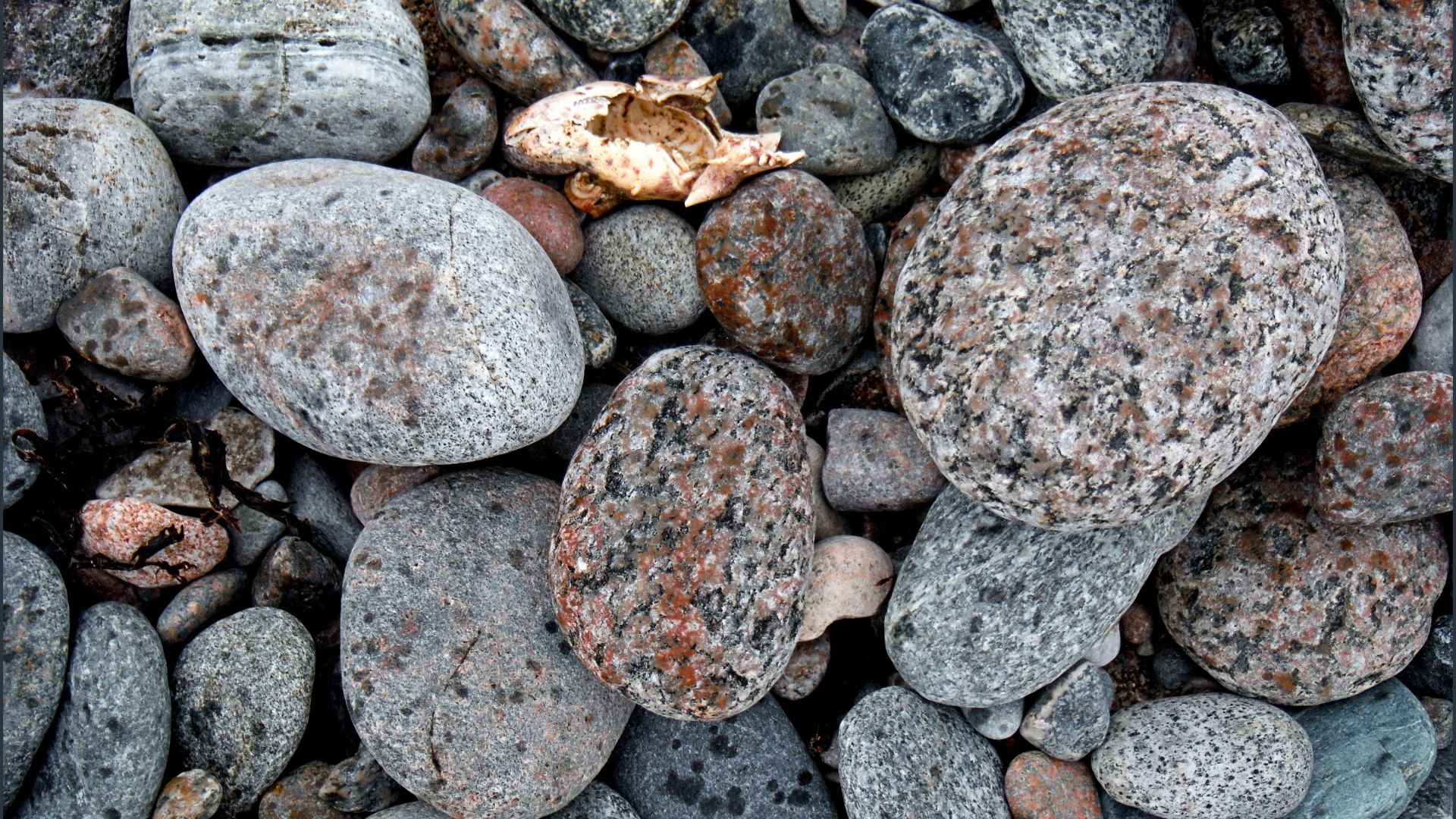 Wave-smoothed beach stones on the seashore