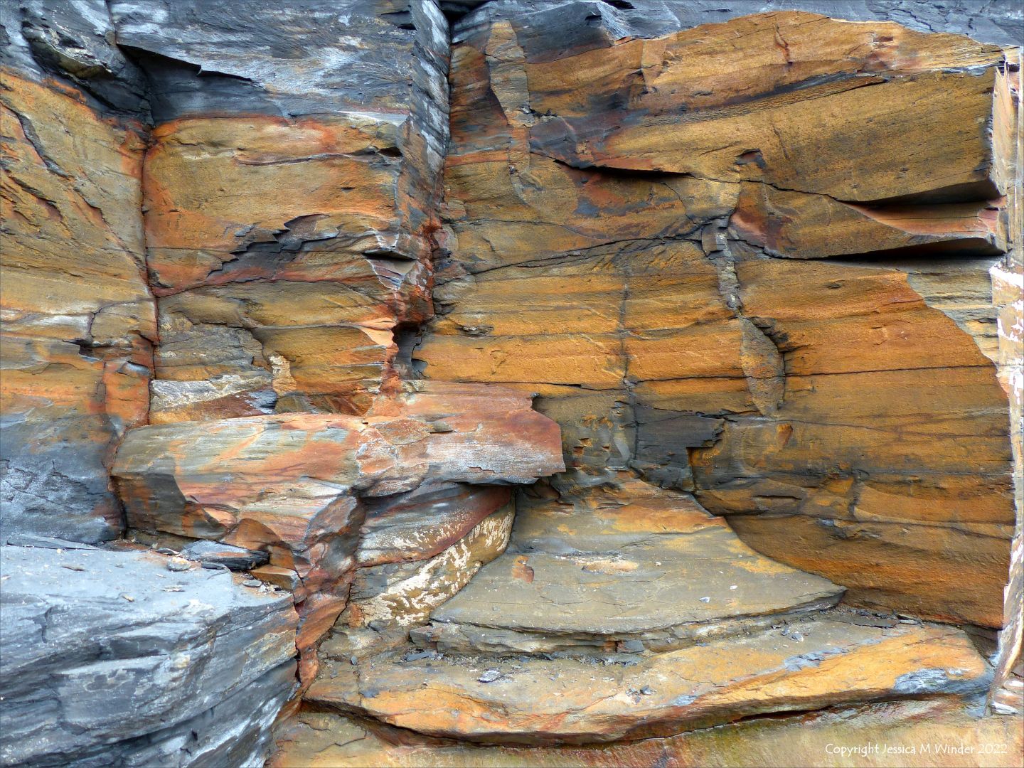 Rock Surface Textures JC 1-4 – Jessica's Nature Blog