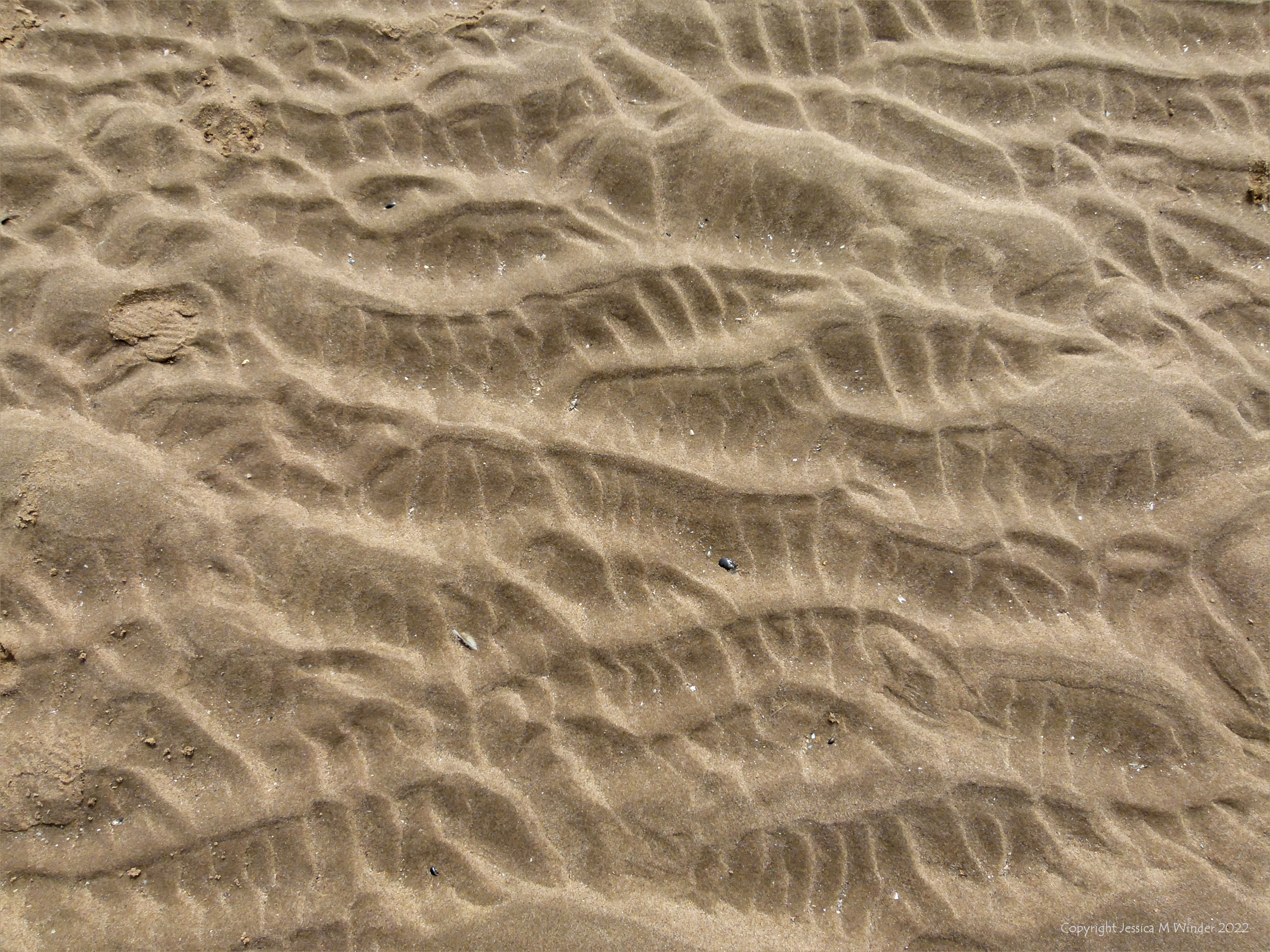Sand Rexture Sand Surface Textures 1-4 – Jessica's Nature Blog