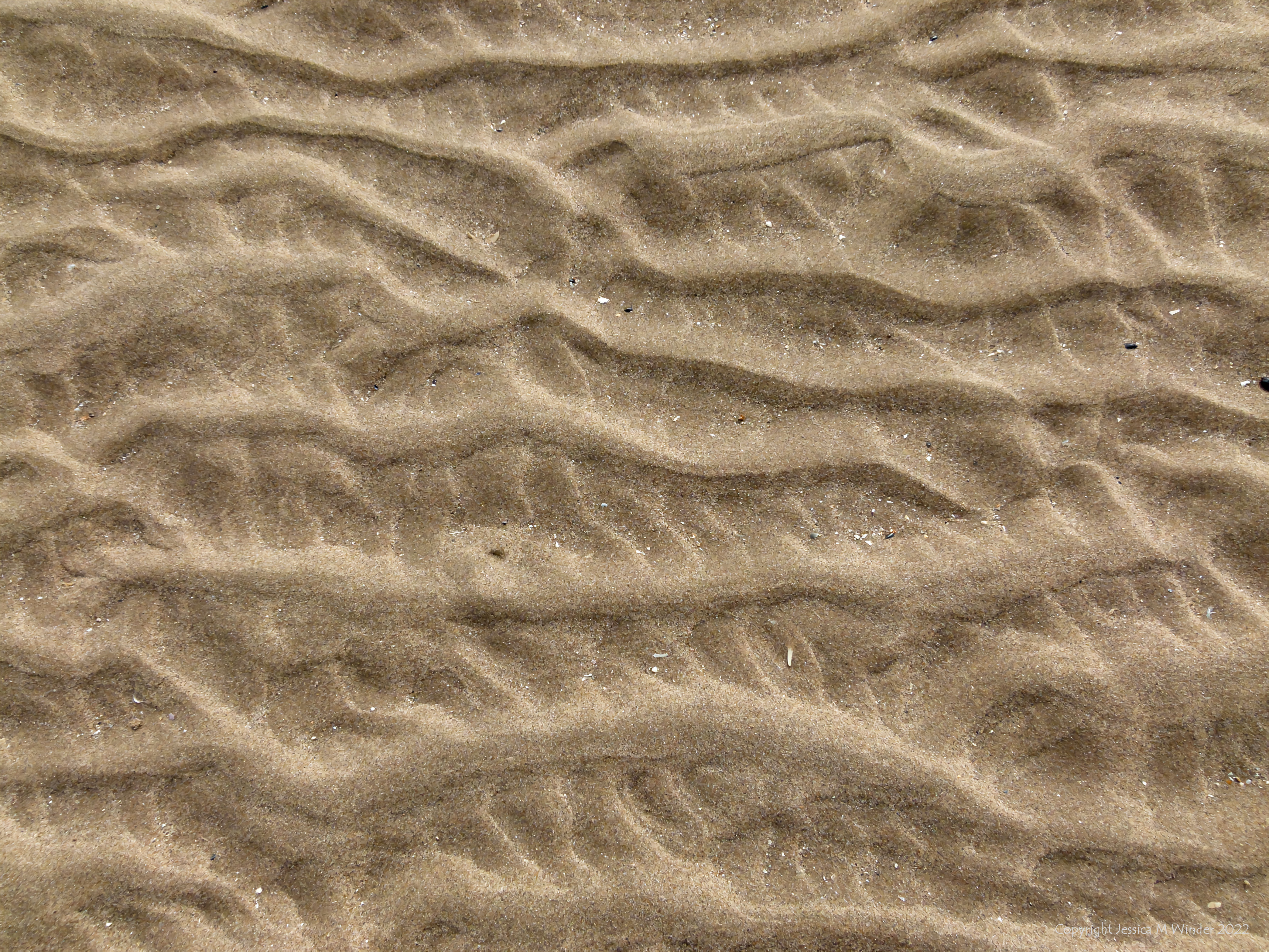 Sand Normal Sand Surface Textures 1-4 – Jessica's Nature Blog
