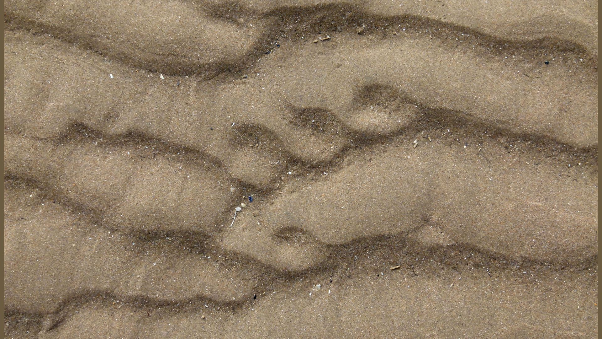 Natural abstract pattern of ripples on the surface of sand at the beach