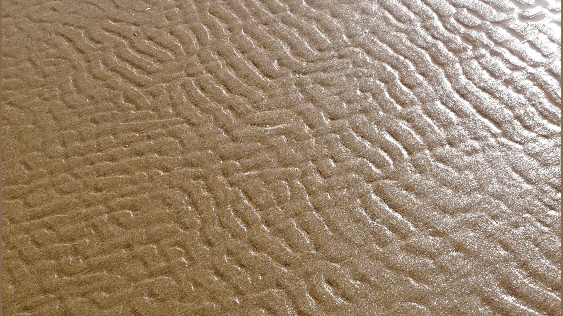 Natural wet beach sand ripple texture and pattern