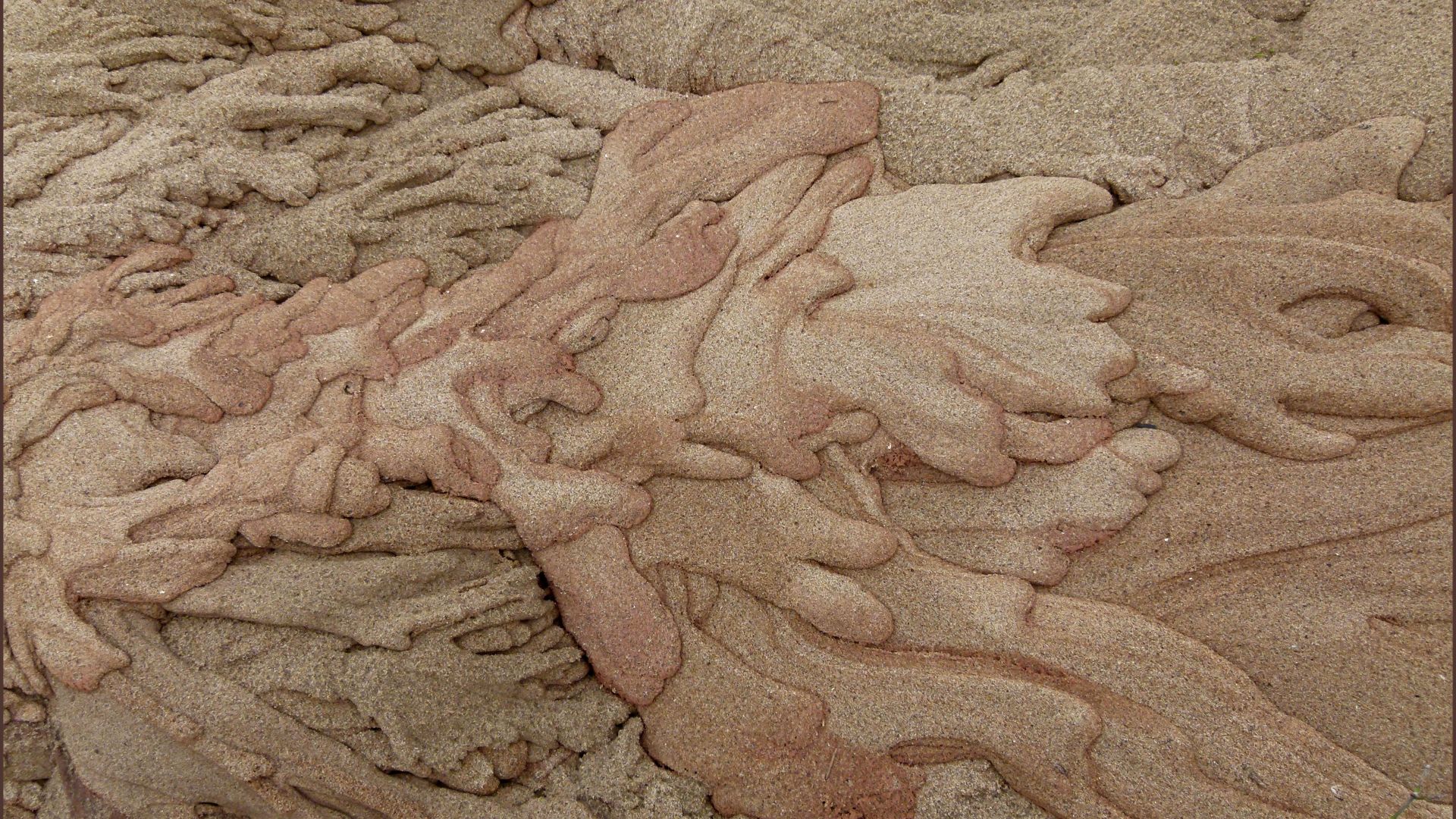 Natural sculptural forms in sand on the beach