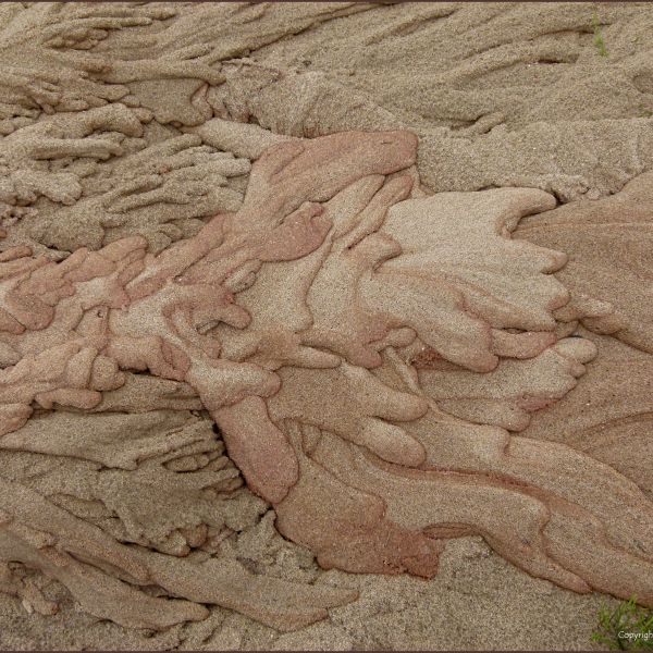 Natural sculptural forms in sand on the beach