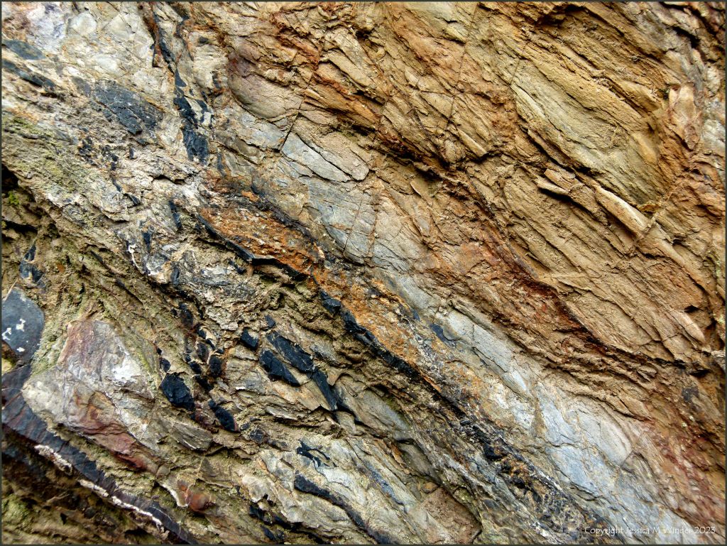 Texture In Rocks Rock Surface Textures PGB 1-5 – Jessica's Nature Blog