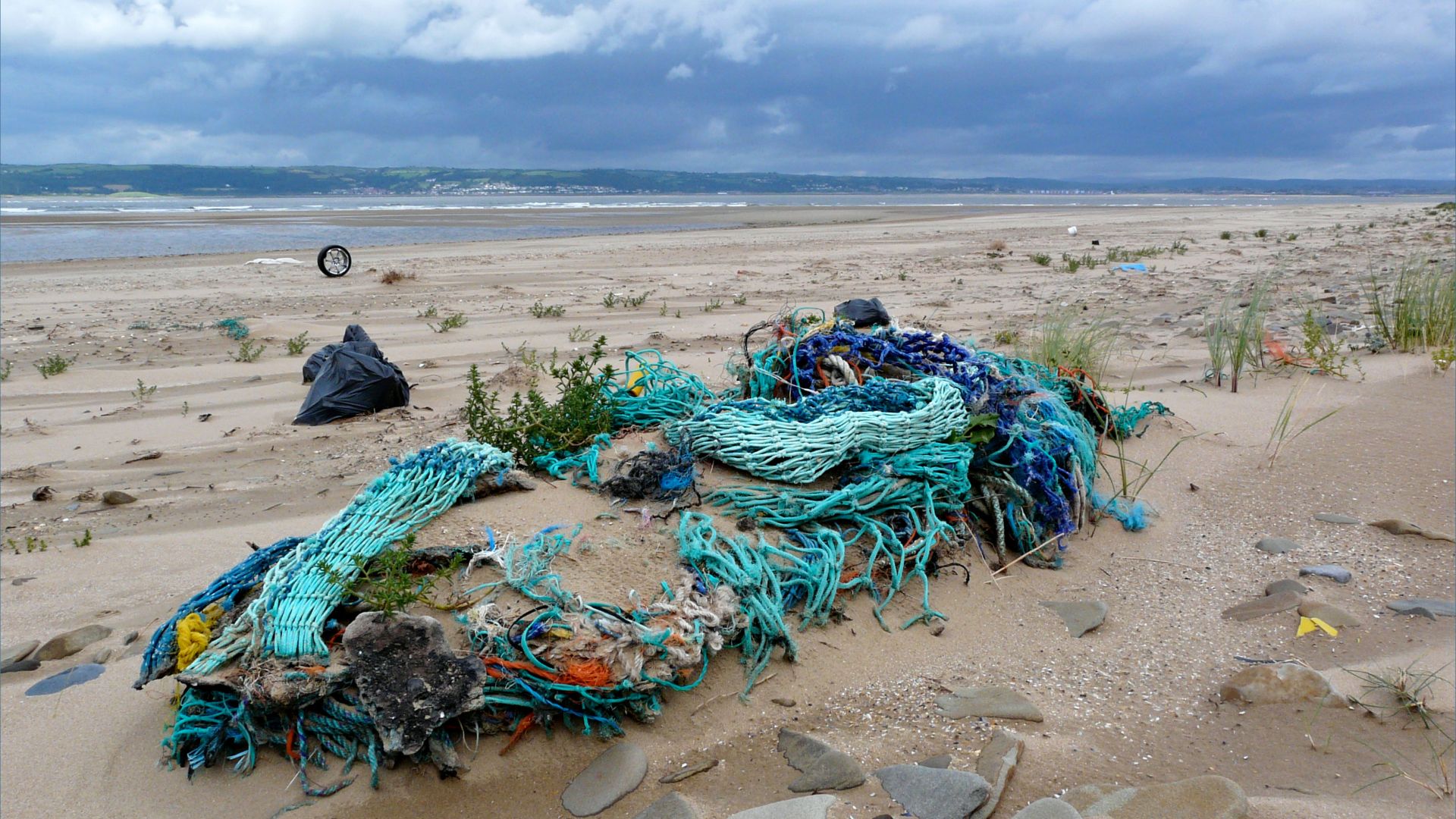 Detail of multi-coloured fishing nets washed ashore as flotsam
