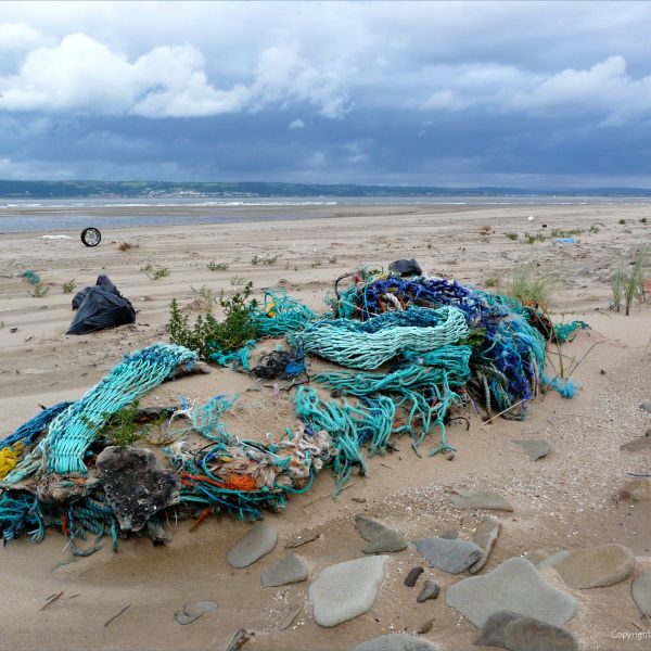 Detail of multi-coloured fishing nets washed ashore as flotsam