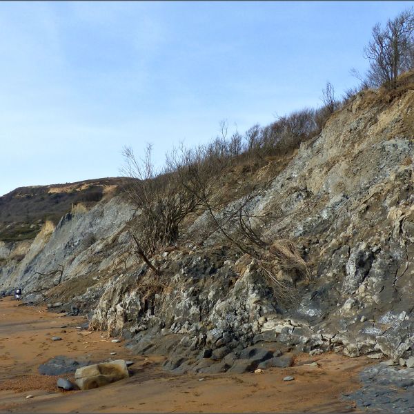 Cliff falls and mud slides at Seatown beach on the Jurassic Coast