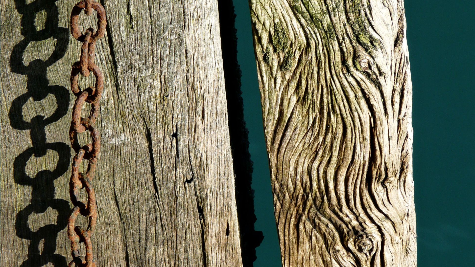Woodgrain texture on weathered pier timbers with attached rusty chain