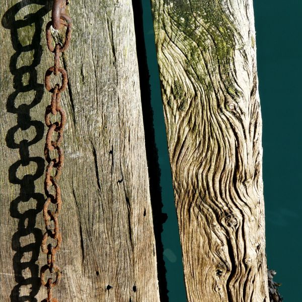 Woodgrain texture on weathered pier timbers with attached rusty chain