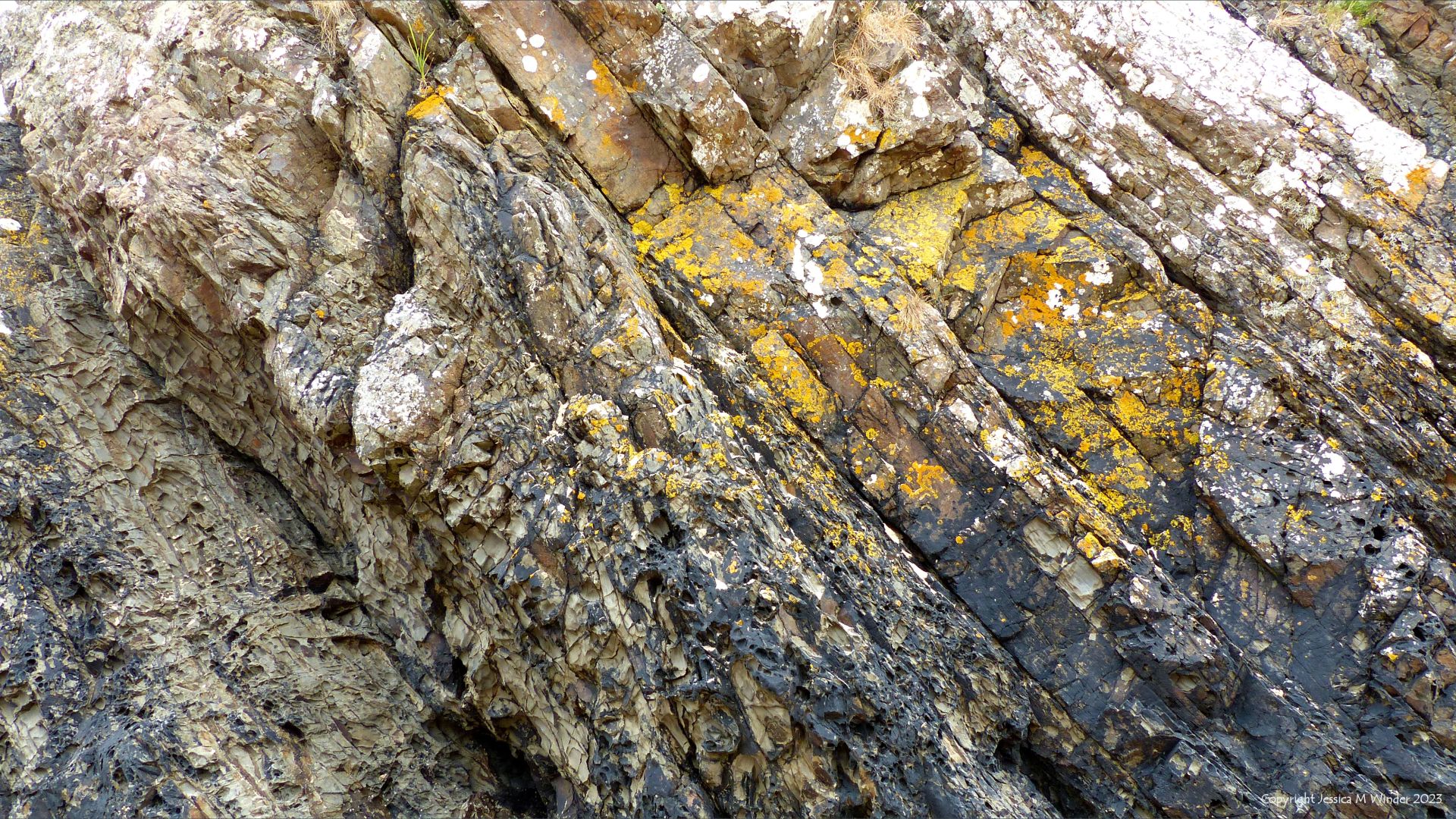 Rock strata showing erosion texture and encrusting yellow and black lichen