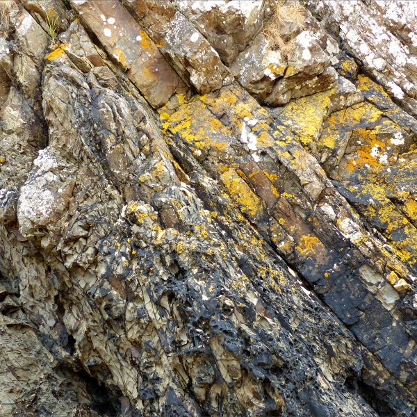 Rock strata showing erosion texture and encrusting yellow and black lichen