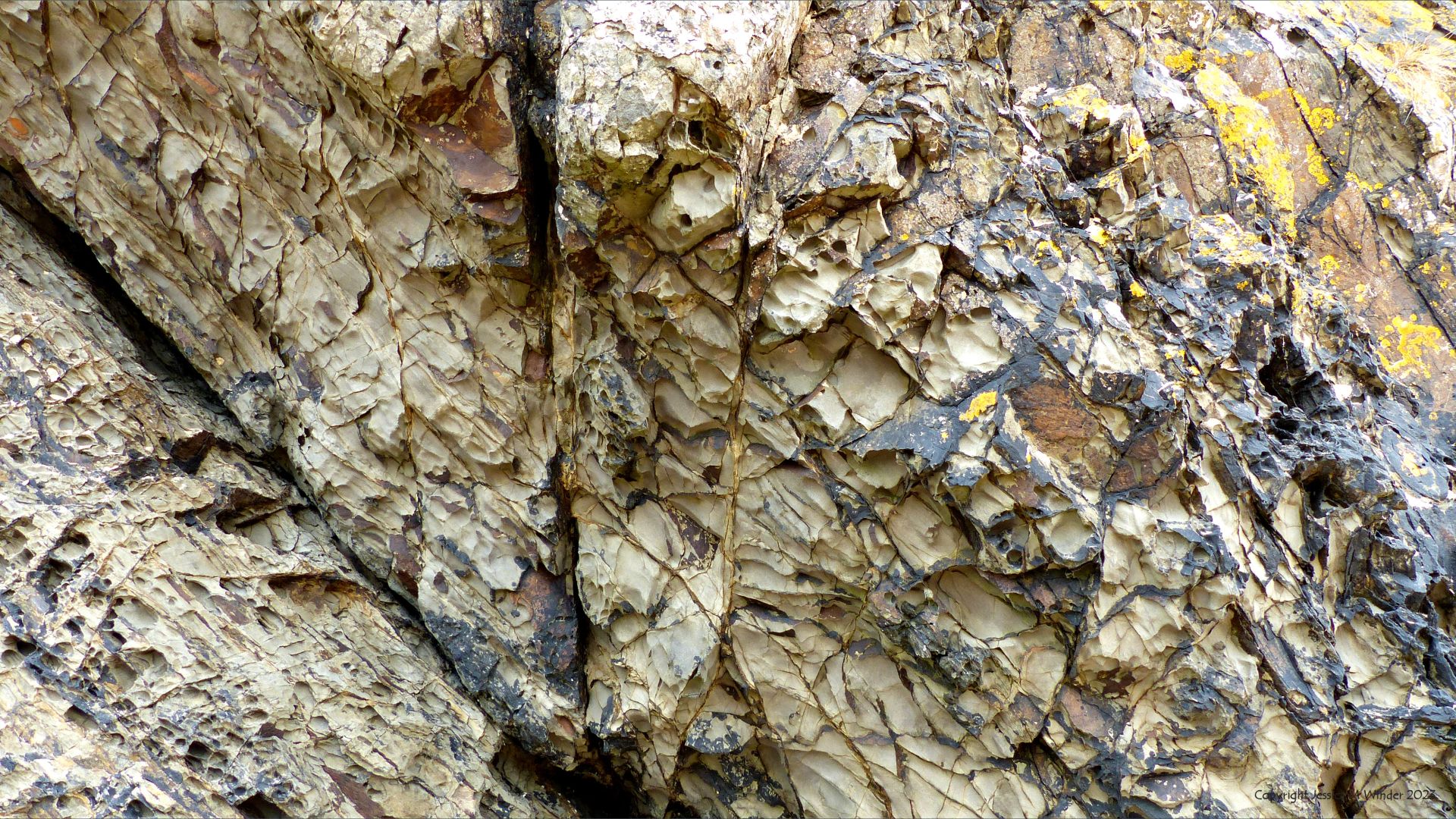 Detail of weathering on an intertidal rocky outcrop of sedimentary strata