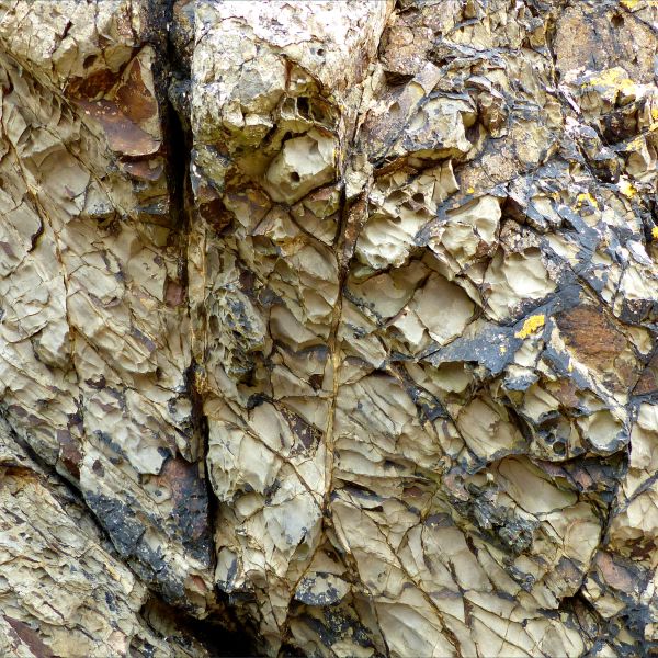Detail of weathering on an intertidal rocky outcrop of sedimentary strata