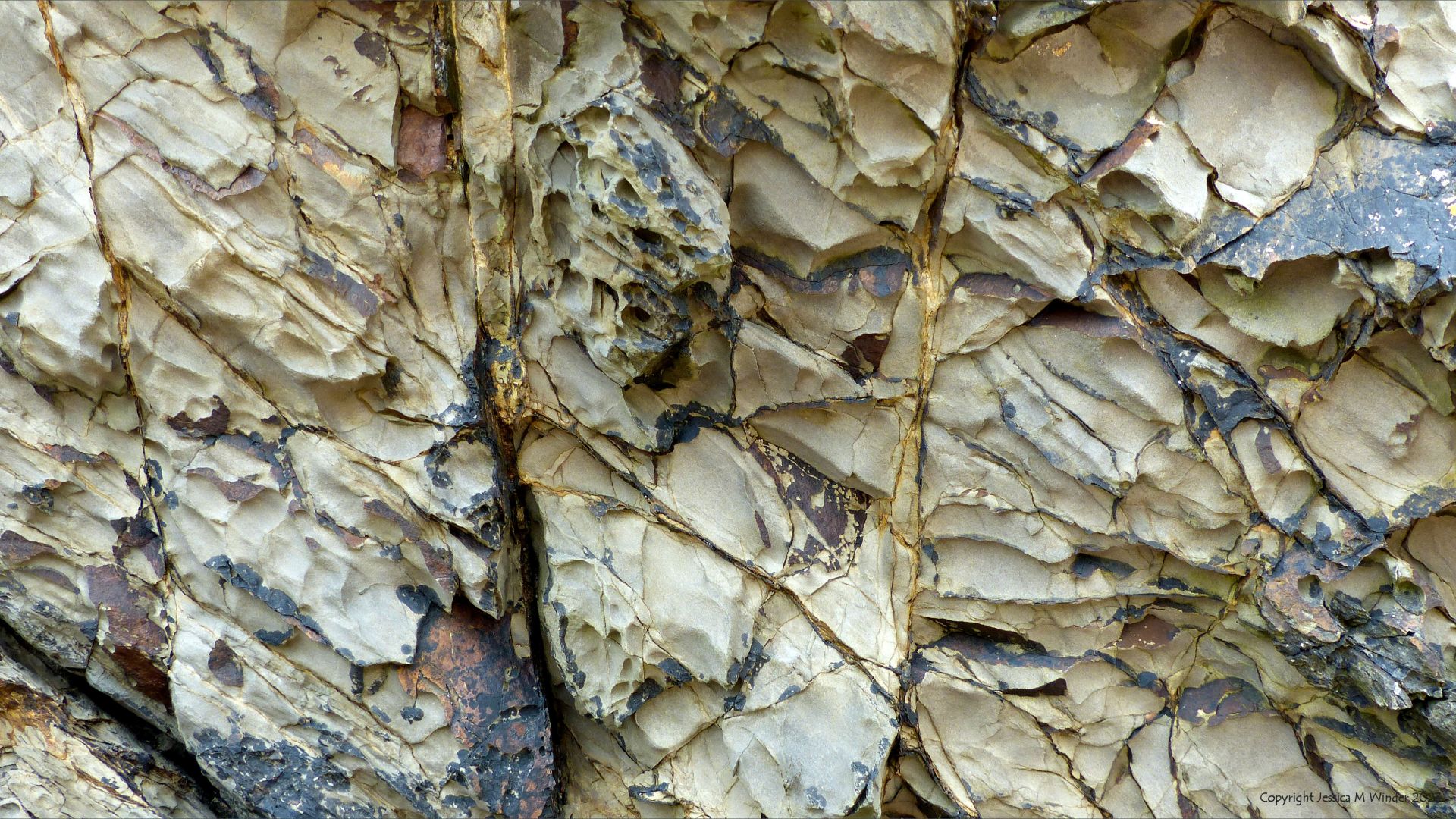 Detail of natural relief sculpturing by weathering on an intertidal rocky outcrop of sedimentary strata