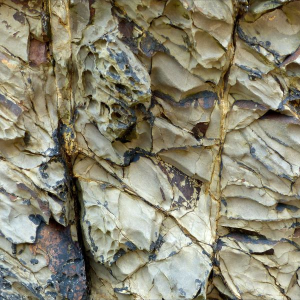 Detail of natural relief sculpturing by weathering on an intertidal rocky outcrop of sedimentary strata