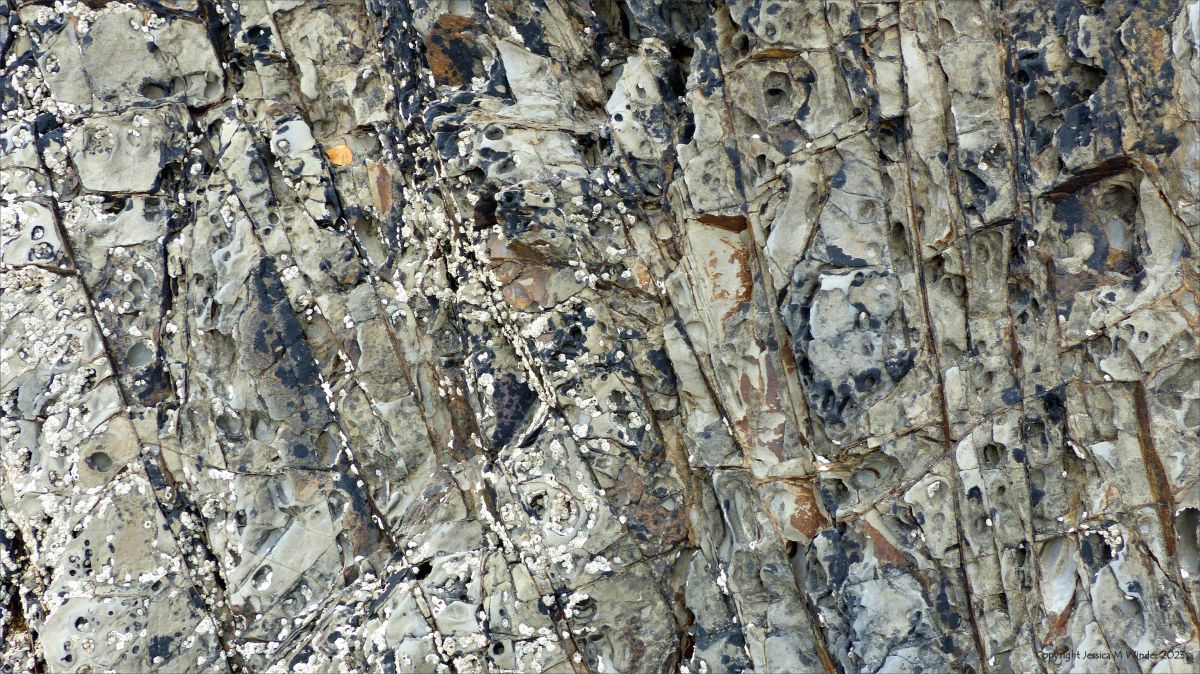 Gosker Rock Patterns & Textures 5 – Jessica's Nature Blog
