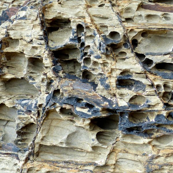 Detail of natural relief sculpturing by weathering on an intertidal rocky outcrop of sedimentary strata