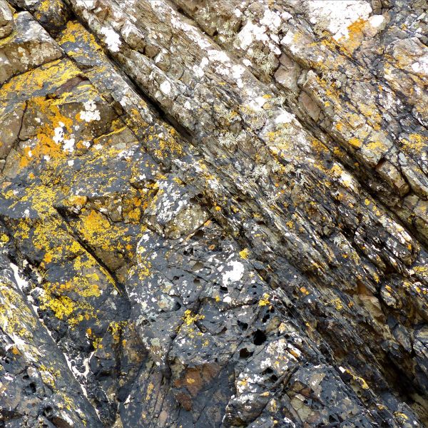 Detail of weathering on an intertidal rocky outcrop of sedimentary strata