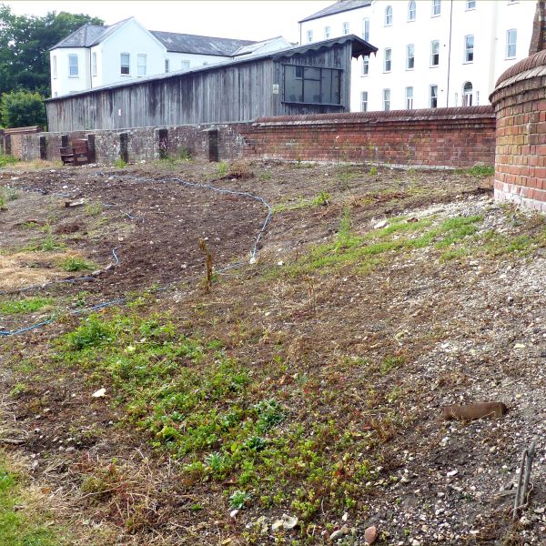 A stage in the process of transforming waste ground to wild garden with bare earth and buildings in background
