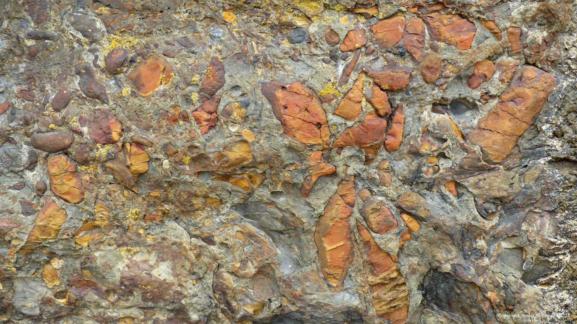 Pattern and texture in Carboniferous cliff rock with orange stones in Tenby, Pembrokeshire