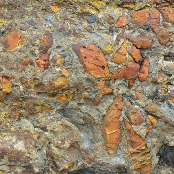 Pattern and texture in Carboniferous cliff rock with orange stones in Tenby, Pembrokeshire