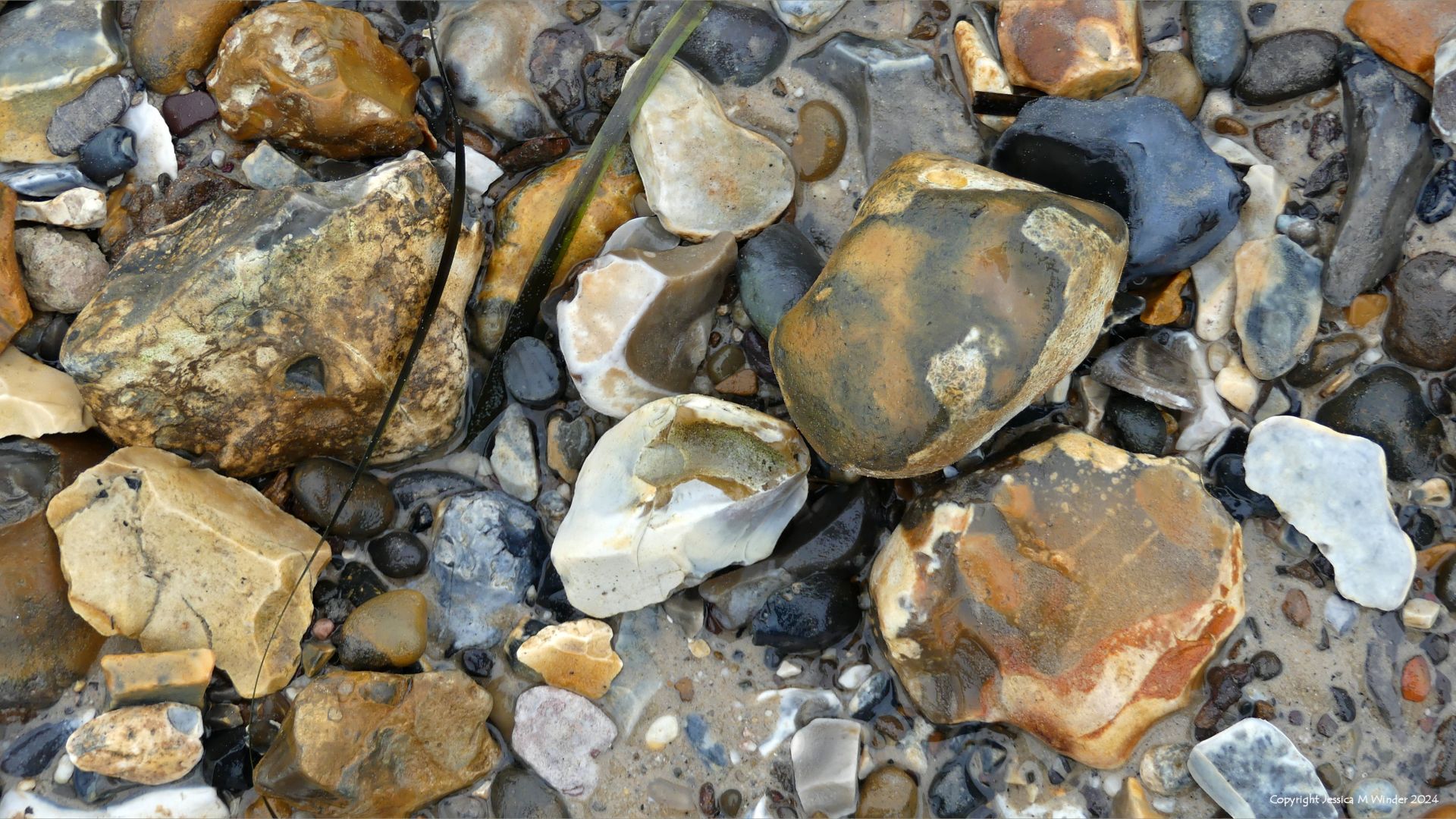 Flint nodules on a sandy shore