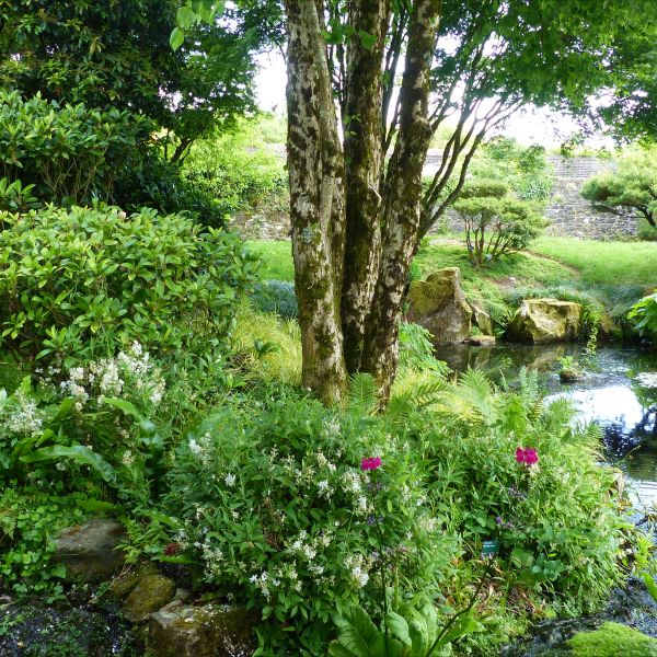 Flowers, trees, shrubs, and water in a Japanese-style garden