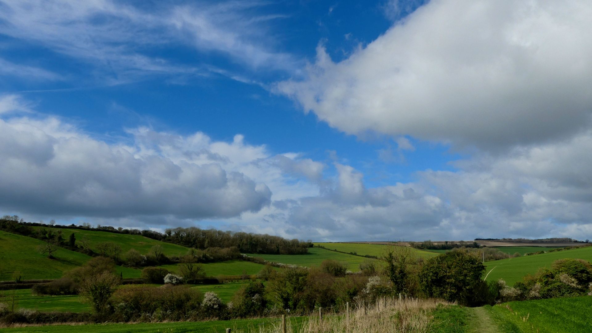 Blue sky with white cloud formations above green fields with hedgerows in Spring