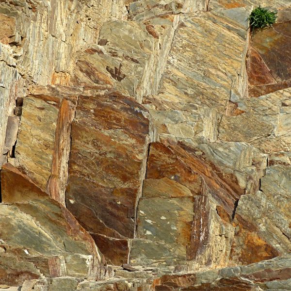 Natural pattern and texture in Cambrian rock strata