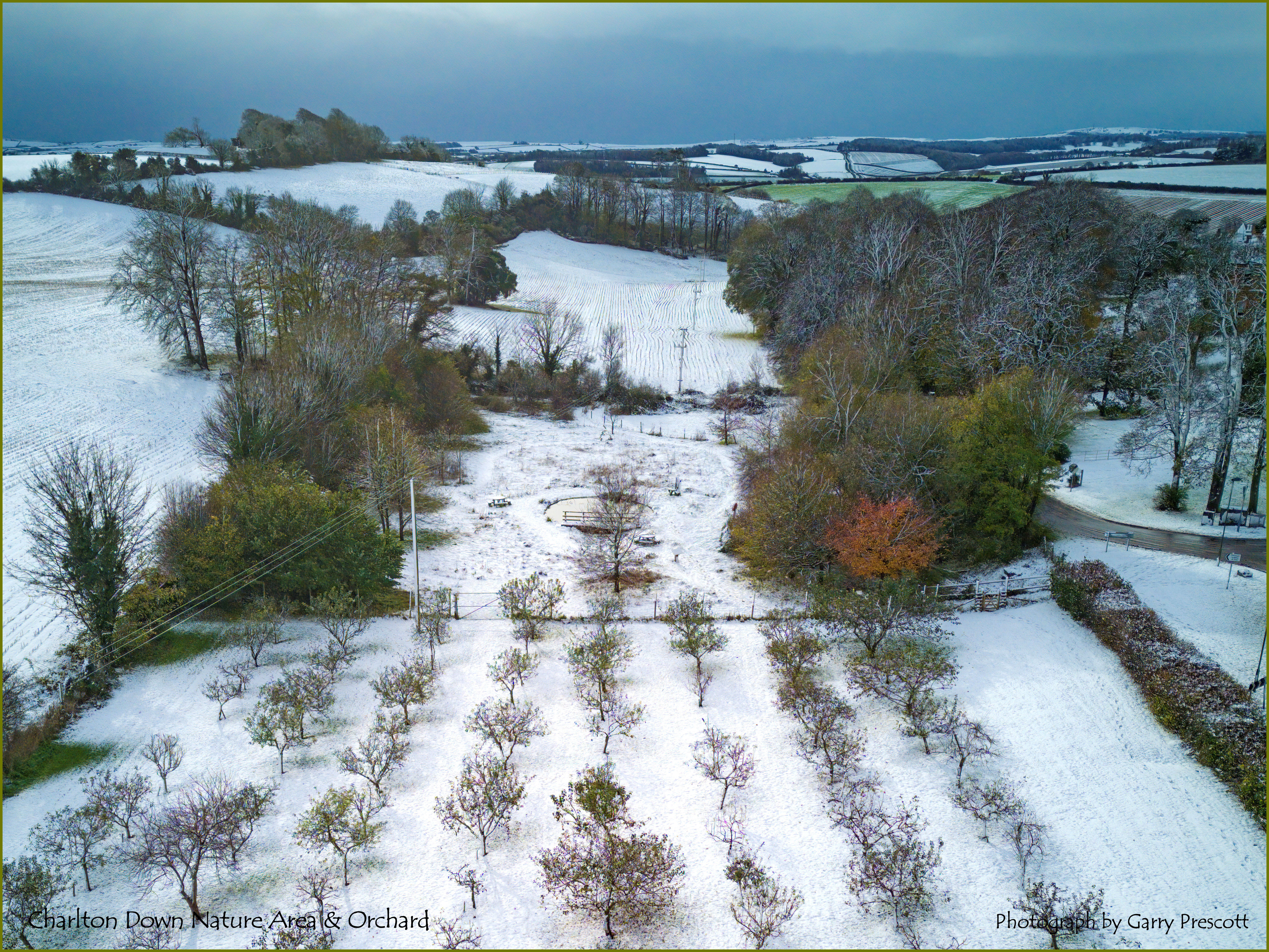 Aerial photograph of a snowy Dorset landscape showing the Charlton Down Nature Area and Community Orchard on the edge of the village. Photograph by Garry Prescott.