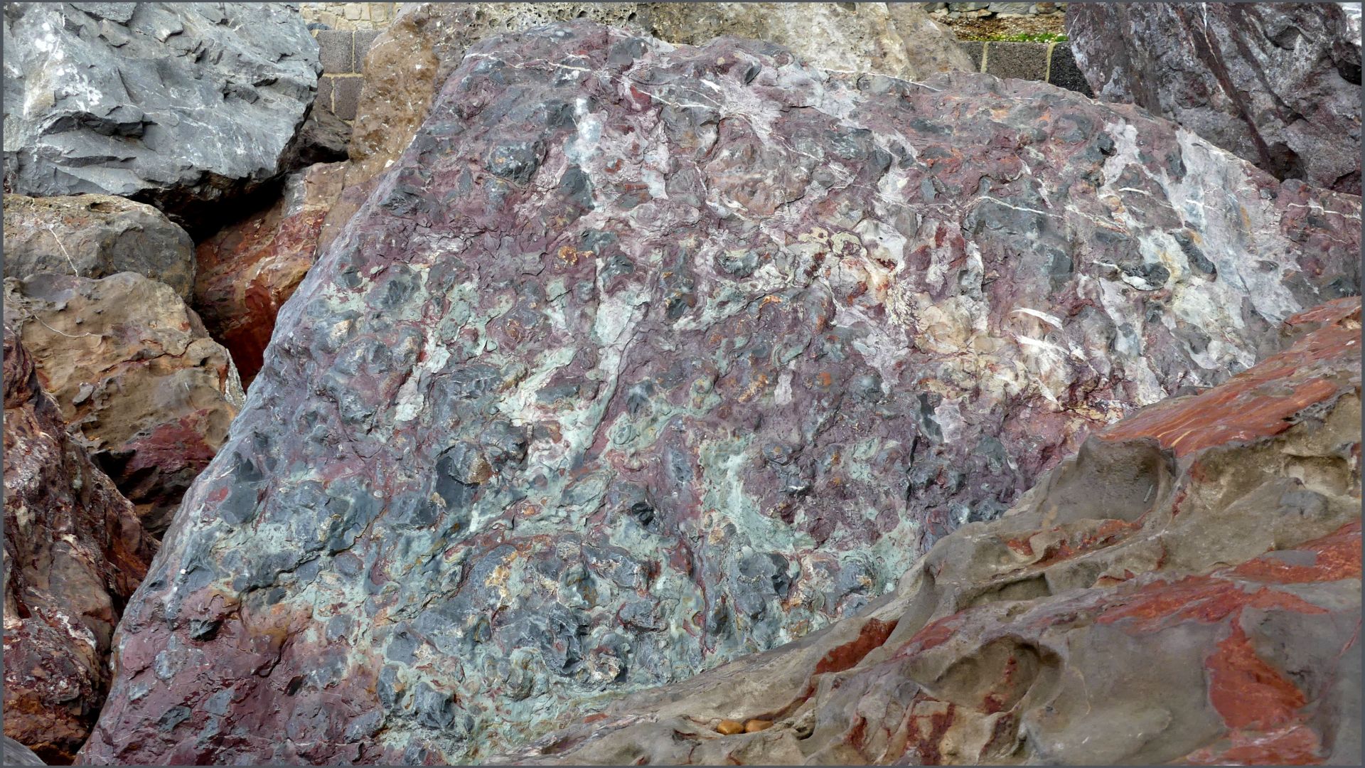 Subtle blending hues of grey and purple in a boulder of unknown origin in the rock armour or rip rap at Seatown in Dorset.