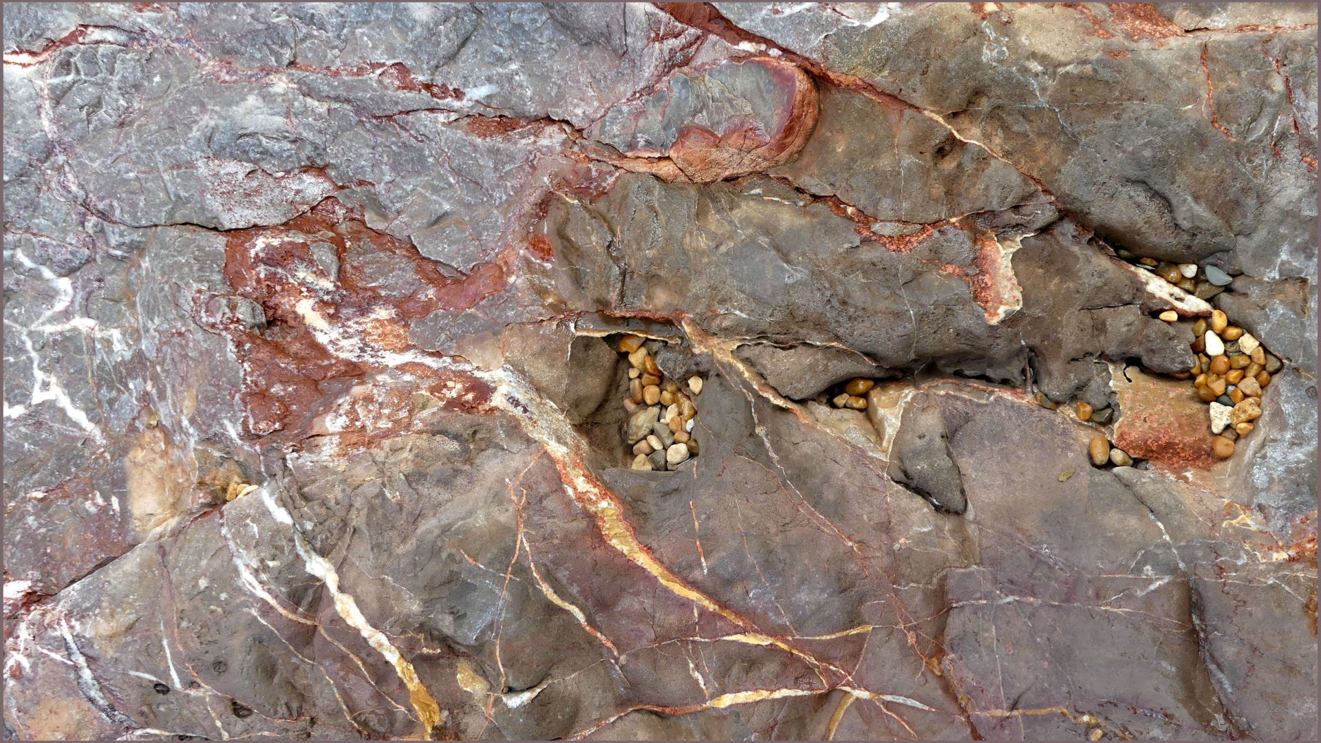 Calcareous sedimentary rock with veins of white crystalline calcite and dark red sediment in a rock armour or rip-rap boulder at Seaton in Dorset