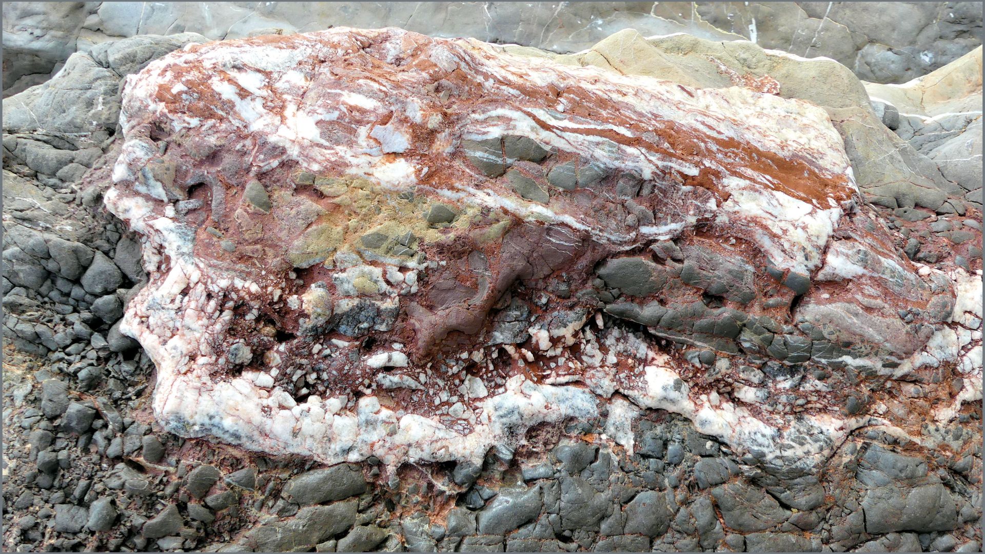Nodule of white calcite, red sediment, and shattered rock fragments within a boulder of dark grey sedimentary rock in rock armour or rip-rap at Seatown in Dorset
