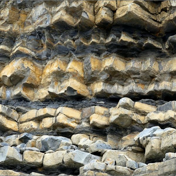 Detail of eroding cliff face showing alternating bands of Jurassic limestone and mudstone at Dunraven Bay on the Glamorgan Heritage Coast.