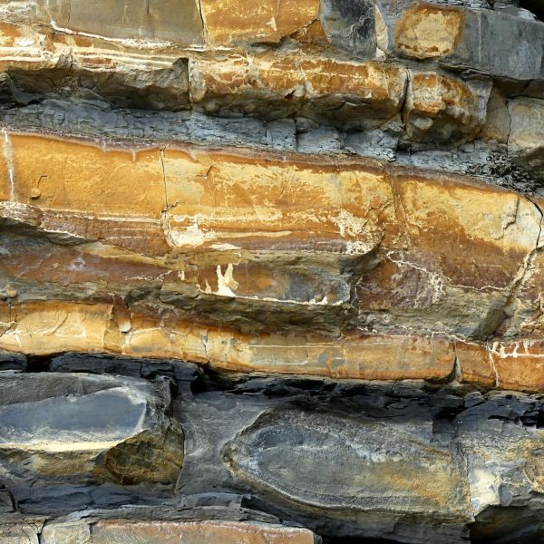 Detail of eroding cliff face showing alternating bands of Jurassic limestone and mudstone at Dunraven Bay on the Glamorgan Heritage Coast.