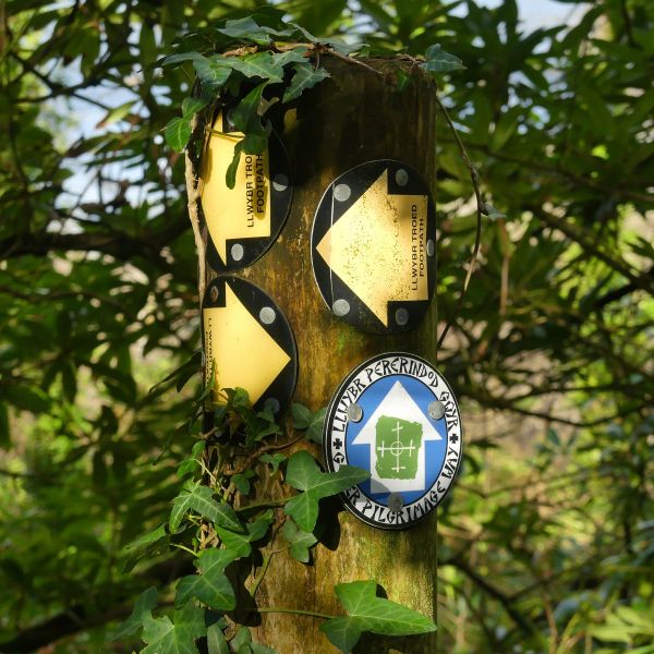 Signpost for the Gower Pilgrimage Way in Mill Wood at Penrice in Gower, South Wales, near Hillside Cottage