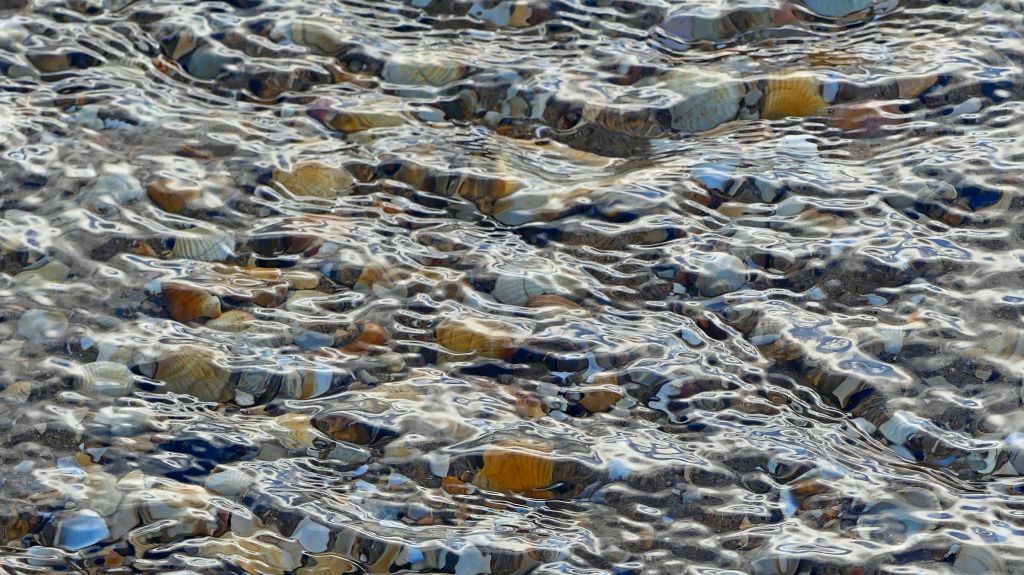 Water rippling over seashells in a beach stream