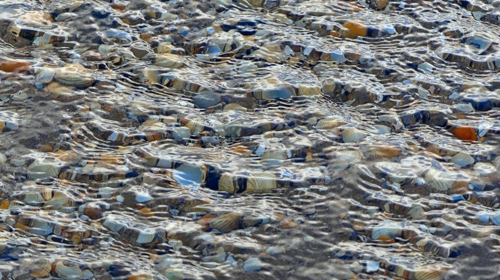 Water rippling over seashells in a beach stream
